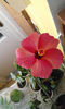 WP_20140131_002
