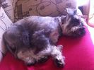 IMG-20140318-WA0000