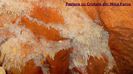 280. Pestera cu Cristale (Cristale de calcit) - Mina Farcu (ROSIA)