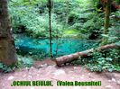 399.  ,,Ochiul Beiului,, (3) Valea Beusnitei (Parcul National Cheile Nerei - Beusnita)
