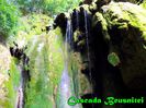 413. Cascada Beusnitei (4)