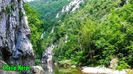 473. Cheile Nerei (12)