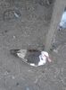 IMG_20140318_175341