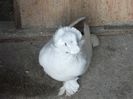 DSCF6199