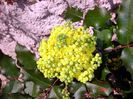 DSC05156