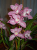 DSCN0718_031