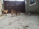 20140315_120351