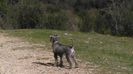 IMG-20140320-WA0004