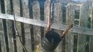 WP_20140320_008