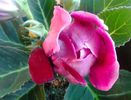 20140320_171753
