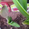 20140320_171609
