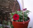 20140320_171544