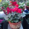 20140320_171410