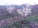 IMG_20140319_110703