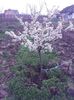 IMG_20140319_110712