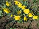 DSCN0729_009