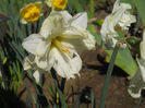 DSCN0732_012