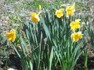 DSCN0733_013
