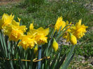 DSCN0742_022