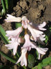 DSCN0745_025