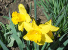 DSCN0747_027