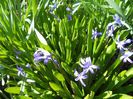 DSCN0751_031