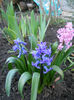 DSCN0756_036