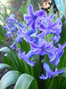 DSCN0758_038