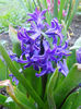 DSCN0759_039