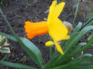 DSCN0760_040
