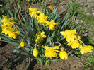 DSCN0775_055