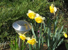 DSCN0776_056