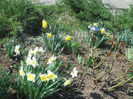 DSCN0779_059