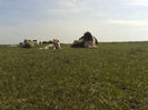 20140319_115945