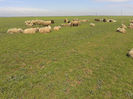 20140320_105551
