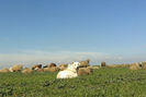 20140320_111043-1-1