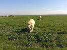 20140320_120355