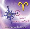 xbrilliantduque - berbec