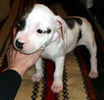 Picture 035