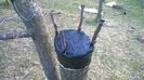 WP_20140321_006