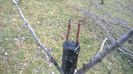 WP_20140321_013