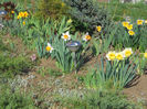 DSCN0785_006