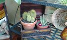 20140322_095230