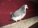 DSCN2328
