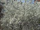 DSCN0788_001