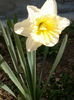 2014-03-22-3588