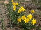 2014-03-23-3599