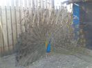 20140320_161733