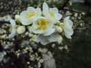 DSC02377