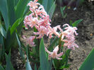 DSCN0793